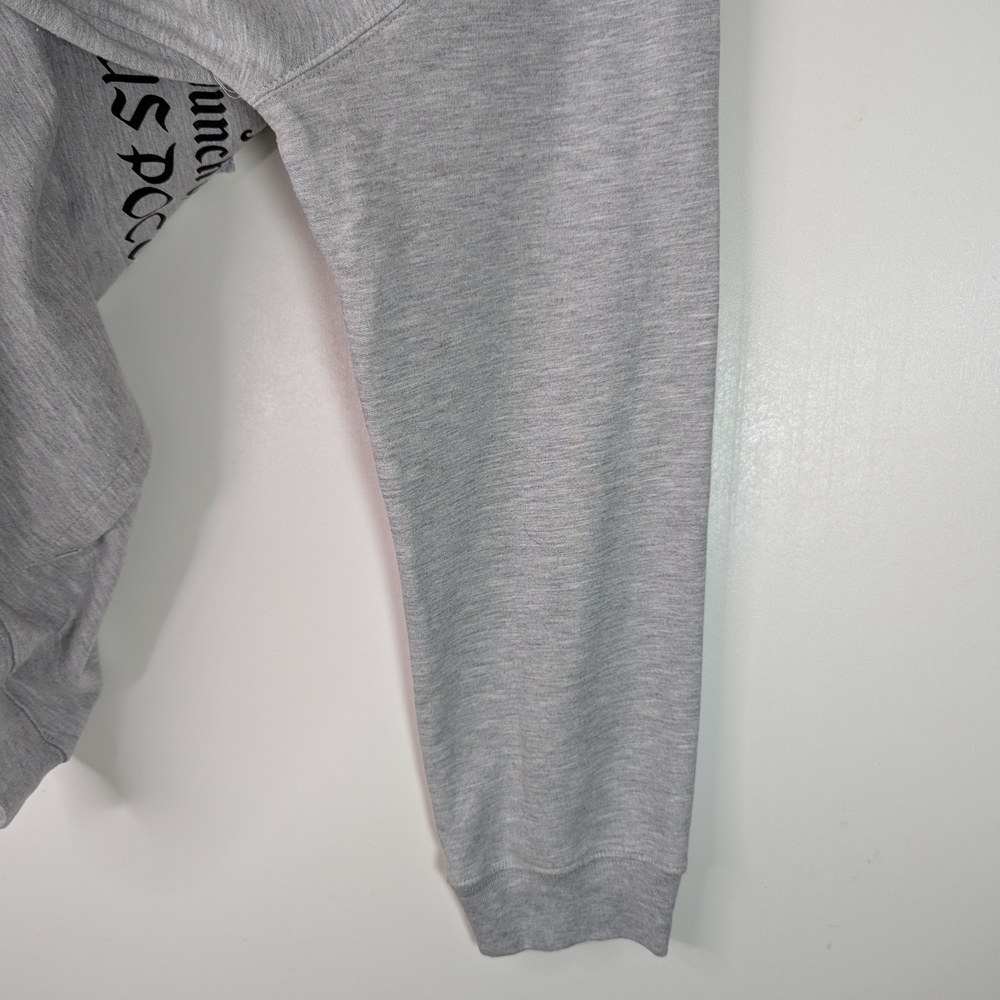 Disney's Hocus Pocus Womens Gray Sanderson Sisters Witch Hoodie Sweatshirt 2XL - Picture 10 of 11